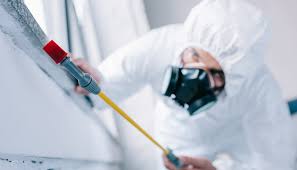 Best Pest Exclusion Services  in Stevensville, MI